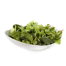 Load image into Gallery viewer, MESCULIN - 250g - Salad Mixed Leaves