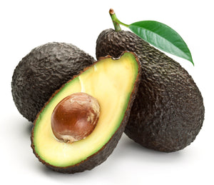 AVOCADO Haas - Tray 16