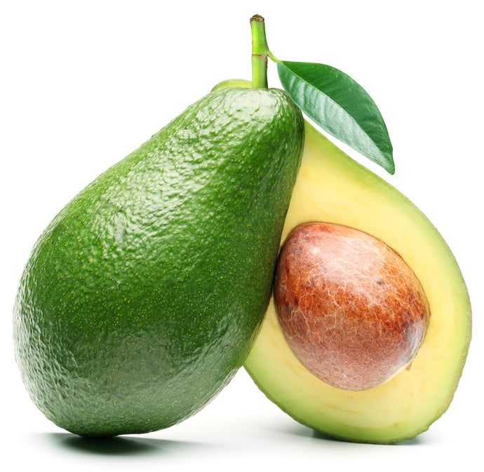 AVOCADO Shepard - each