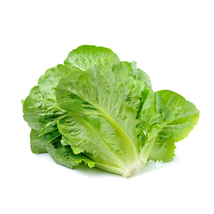 LETTUCE BABY COS - Box of 8