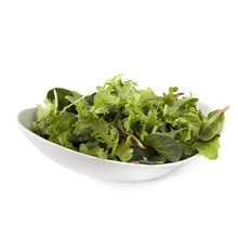 Load image into Gallery viewer, MESCULIN - 1kg - Salad Mixed Leaves
