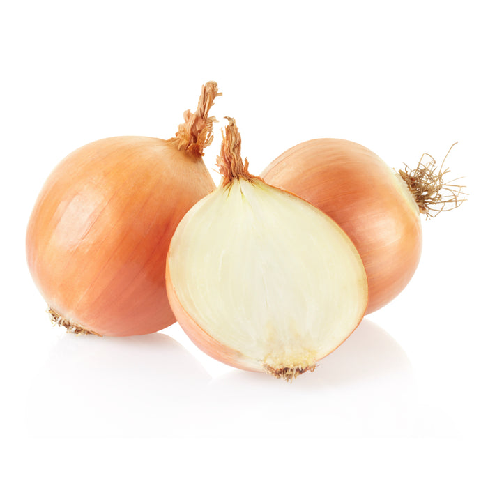 ONIONS BROWN - 20kg