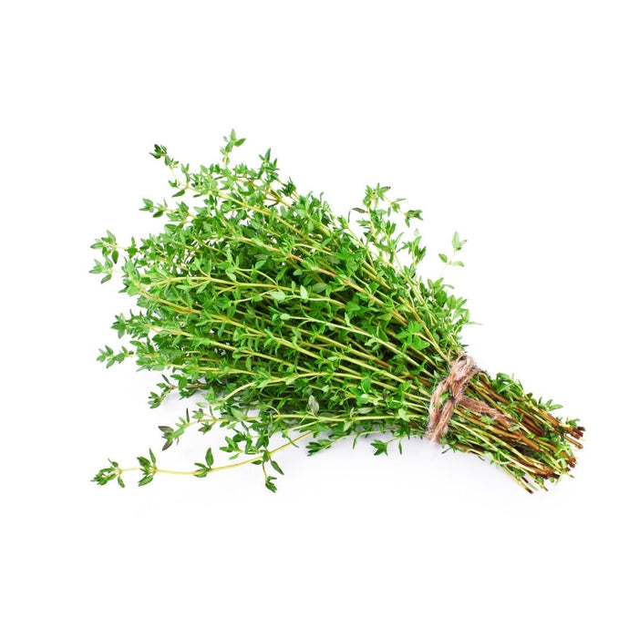 THYME - Bunch