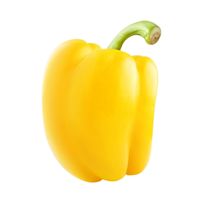 CAPSICUM YELLOW- 1 piece