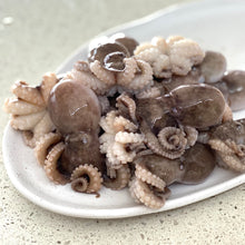 Load image into Gallery viewer, OCTOPUS SMALL FRESH - 1kg
