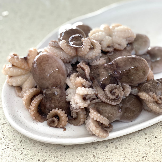 OCTOPUS SMALL FRESH - 1kg
