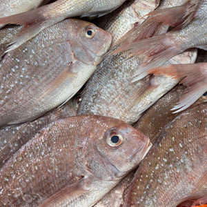 SNAPPER WHOLE