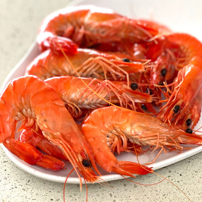 TIGER COOKED PRAWNS XL - 3kg Box (SNAP FROZEN)
